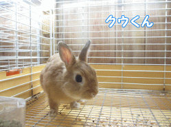 140731j.gif