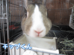 140801m.gif
