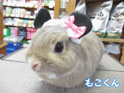 140802a.gif