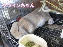 140802g.gif