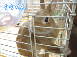 140802q.gif