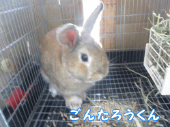 140802s.gif
