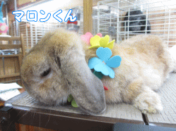 140802w.gif