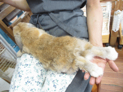 140802y.gif