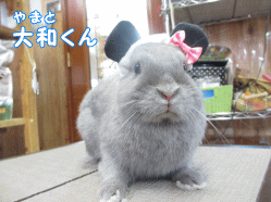140802z.gif