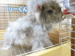 140803u.gif