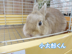 140804i.gif