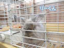 140804k.gif