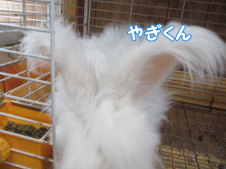140804q.gif