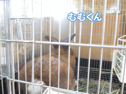 140804w.gif