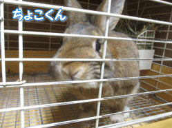140805a.gif