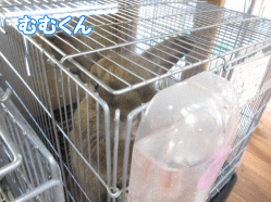 140805i.gif