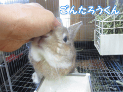 140805k.gif