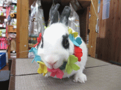 140807a2.gif