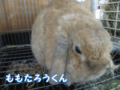 140807c1.gif