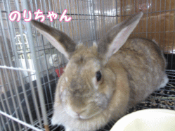 140807f1.gif