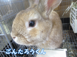 140807h1.gif