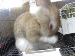 140807h2.gif