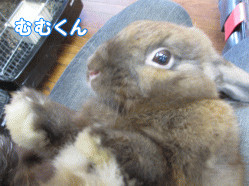 140807i1.gif