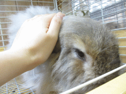 140807k2.gif