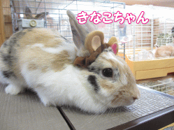 140809c.gif