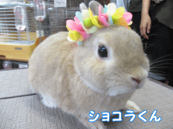 140810c1.gif