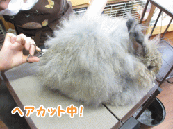 140810g1.gif