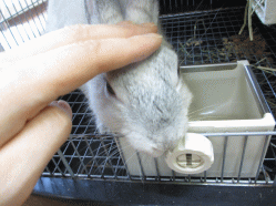 140810i2.gif