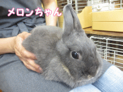 140810k1.gif