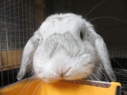 140810o2.gif