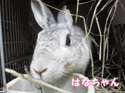 140810r1.gif
