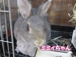 140811s.gif