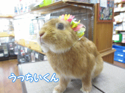140811a.gif
