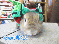 140811c.gif