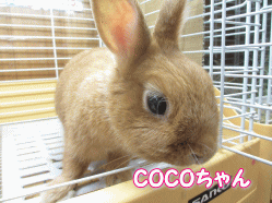 140811e.gif
