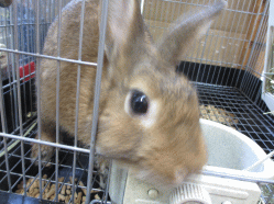 140811h.gif
