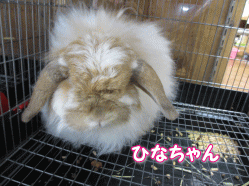 140811w.gif