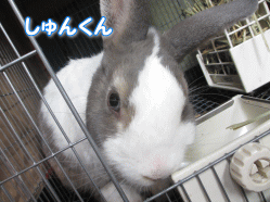 140811z11.gif