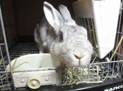 140811z14.gif
