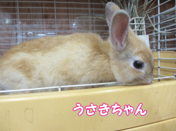 140811z3.gif