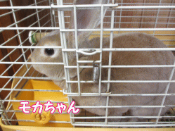 140811z5.gif