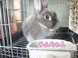 140811z7.gif