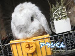 140811z9.gif
