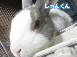 140812c.gif