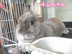 140812d.gif