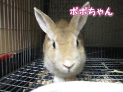 140812f.gif