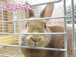 140812k.gif