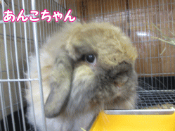 140812q.gif