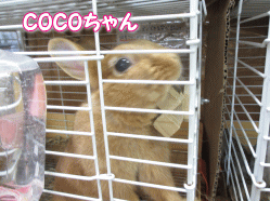 140812r.gif