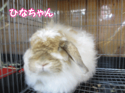 140812s.gif